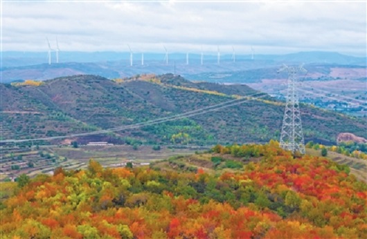 “十四五”国家电网发展成效㉔【人民日报】特高压架起电力“闪送通道”